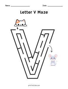 Letter V Maze