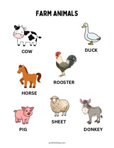 Farm Animals