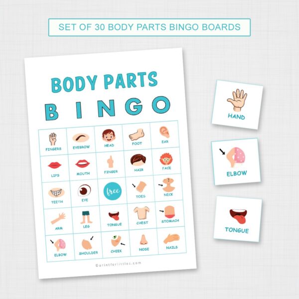 Body Parts Bingo Printable for Teachers