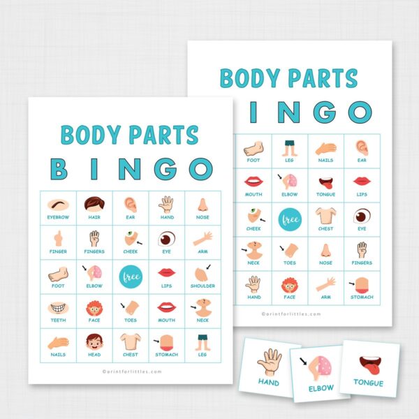 Printable Body Parts Bingo Cards