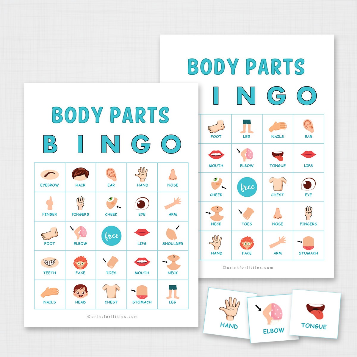 Body Parts Bingo Printable