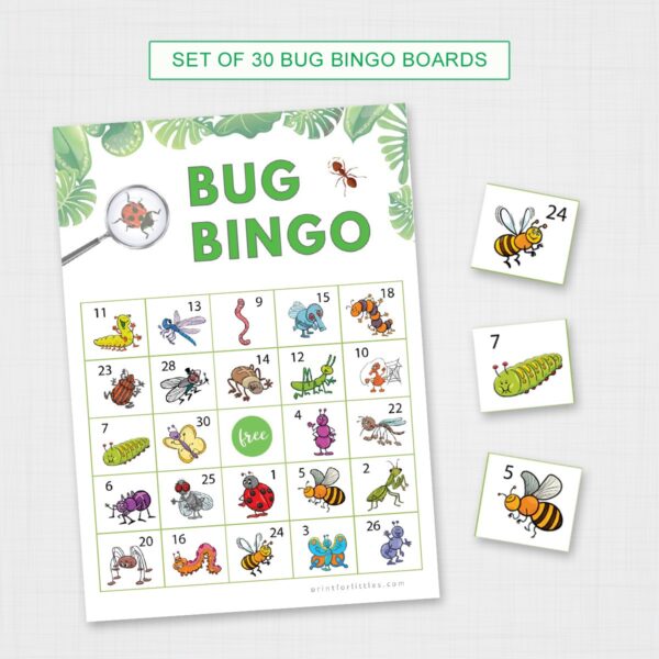 Insect Bingo Cards