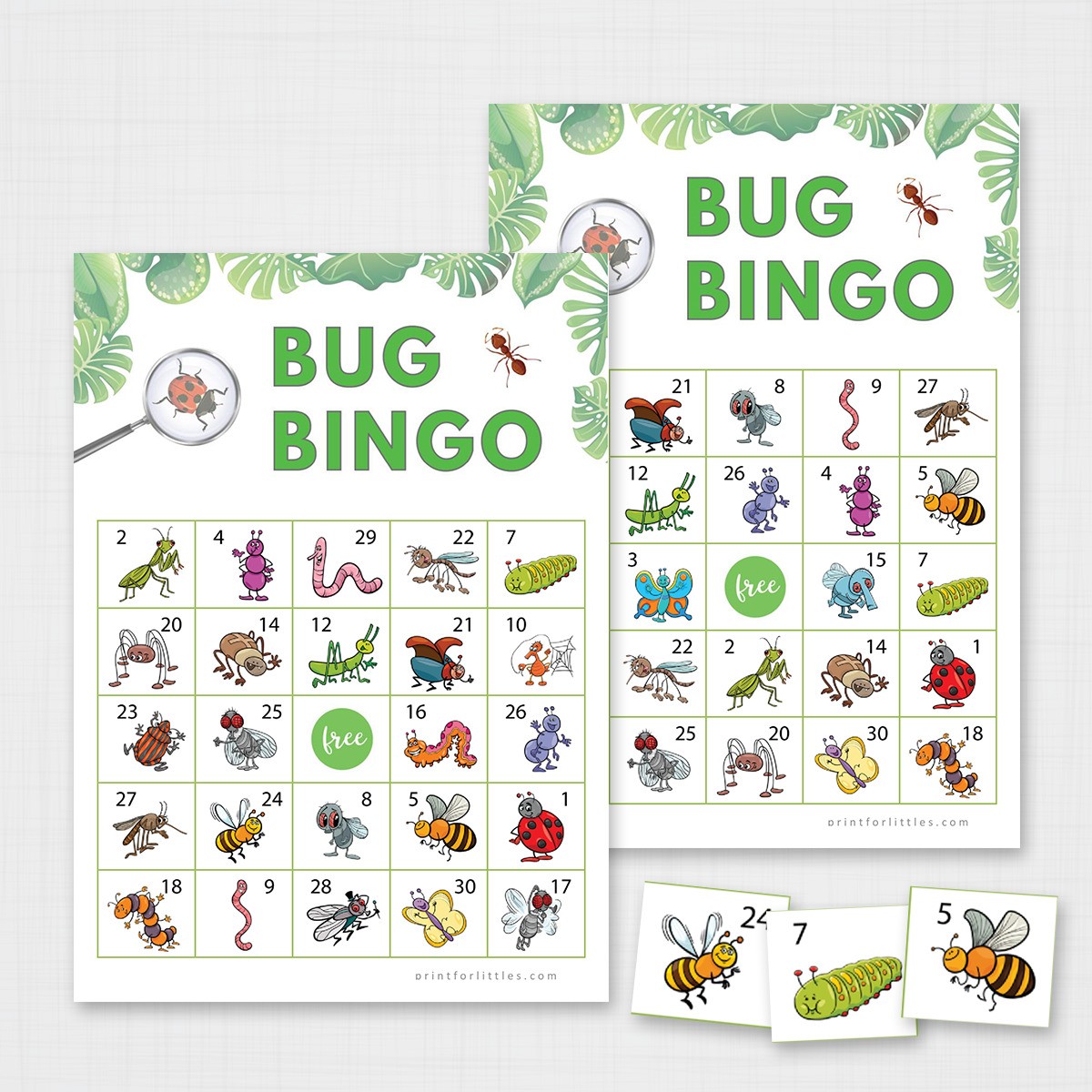 bug-bingo-printable-cards