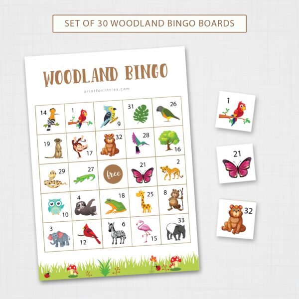 Woodland Picture Bingo Cards Printable for Kids